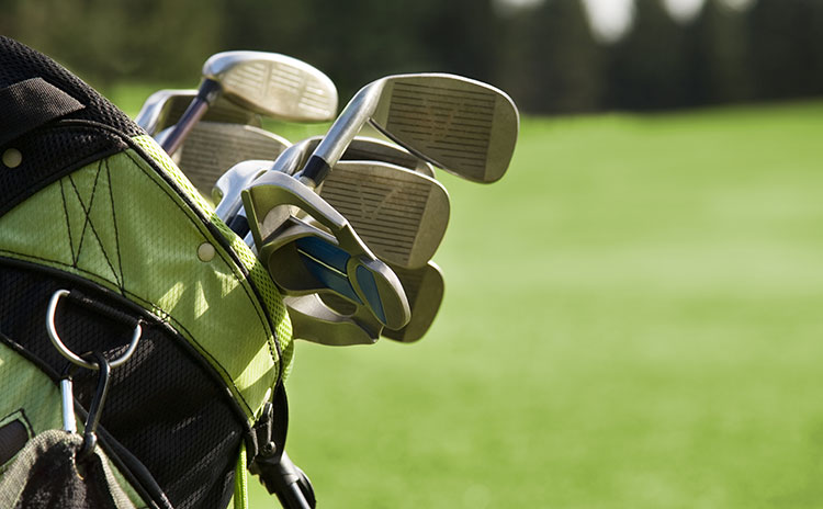 golf clubs in golf bag